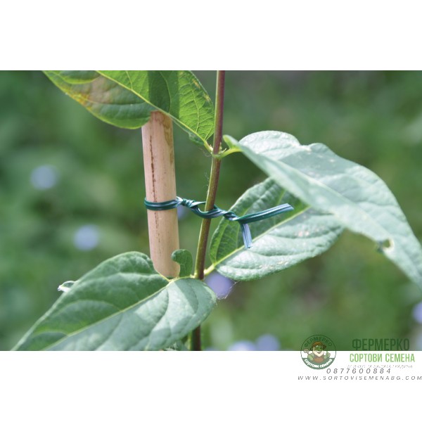 Градинска тел за привързване - 100м.