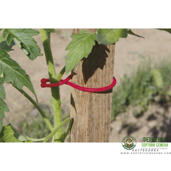 Скоби за домати – пакет 25 броя