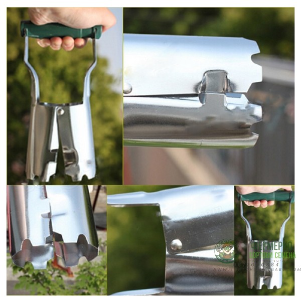 Садило за луковици