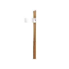 Бамбукови колове колци