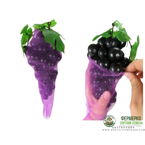 Мрежа за защита от оси