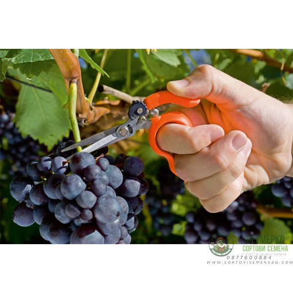 Ножица - Удобна и практична Stocker