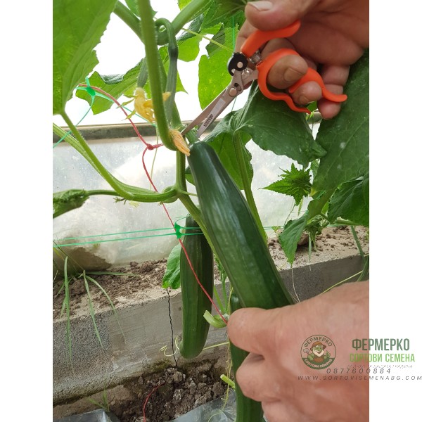 Ножица - Удобна и практична Stocker