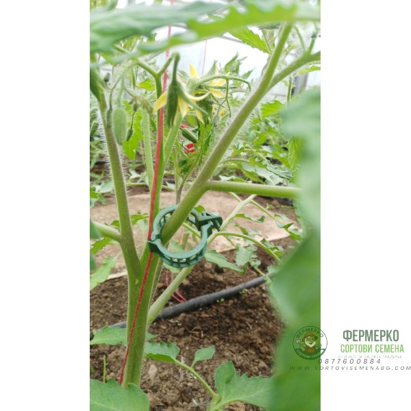 Щипки за домати, грозде и други растения ф23