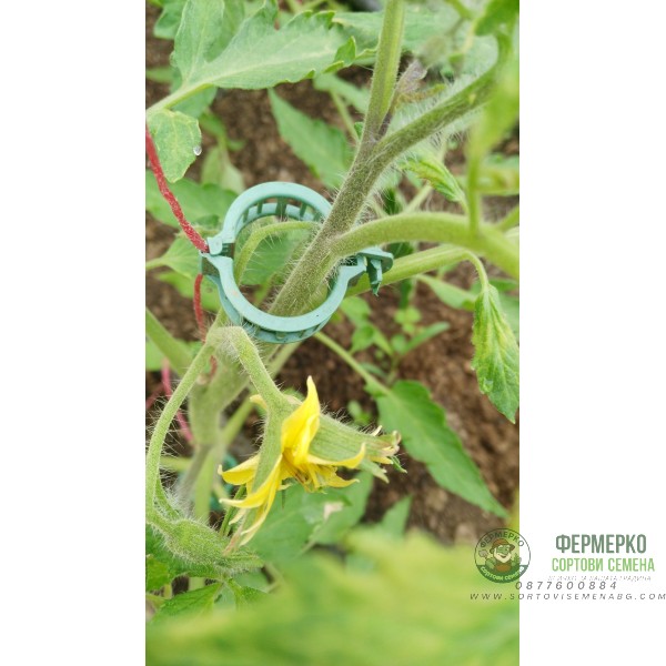 Щипки за домати, грозде и други растения ф23