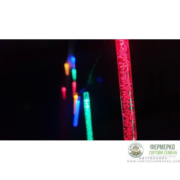 Соларнa LED лампa тип гирлянд за градина (комплект - 10бр. стикове) - Цветни