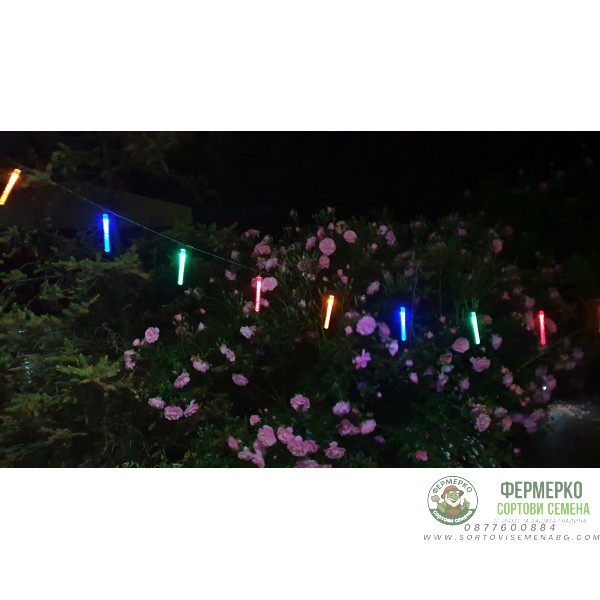 Соларнa LED лампa тип гирлянд за градина (комплект - 10бр. стикове) - Цветни