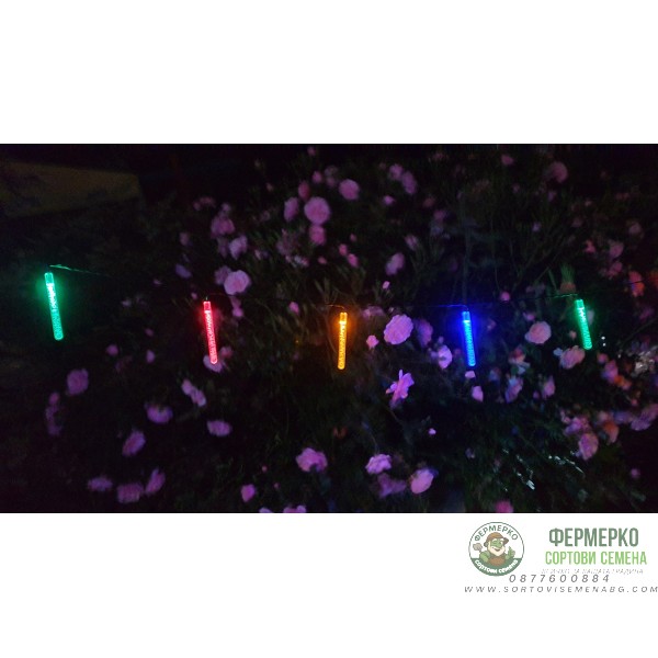 Соларнa LED лампa тип гирлянд за градина (комплект - 10бр. стикове) - Цветни