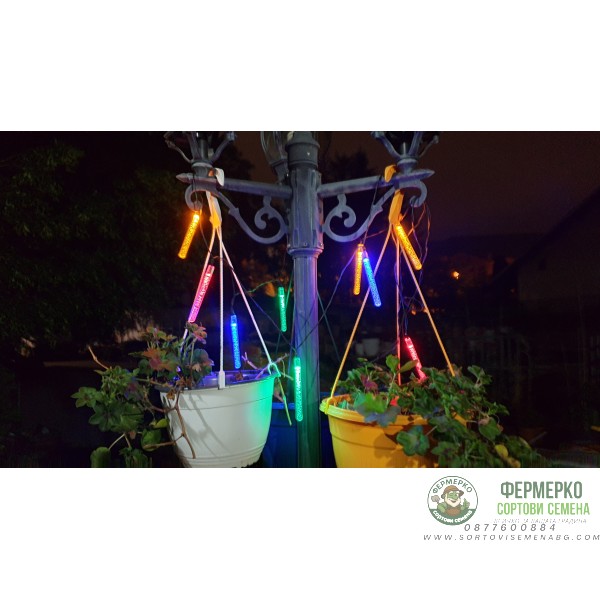 Соларнa LED лампa тип гирлянд за градина (комплект - 10бр. стикове) - Цветни