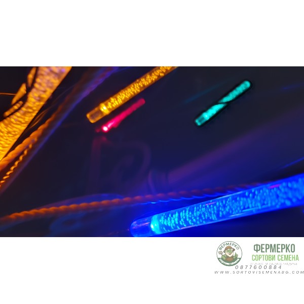 Соларнa LED лампa тип гирлянд за градина (комплект - 10бр. стикове) - Цветни