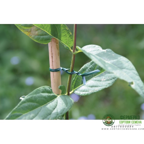 Градинска тел за привързване - 30 м