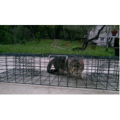 Капан за хуманно залавяне котки