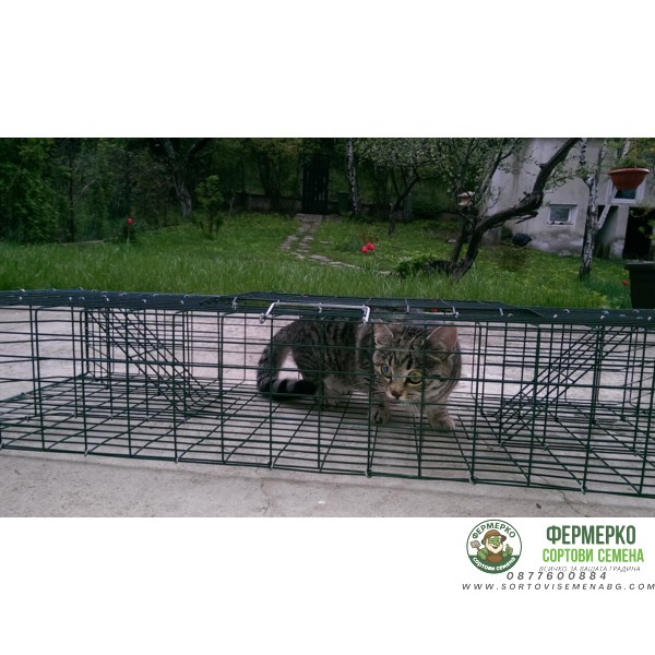 Капан за хуманно залавяне котки