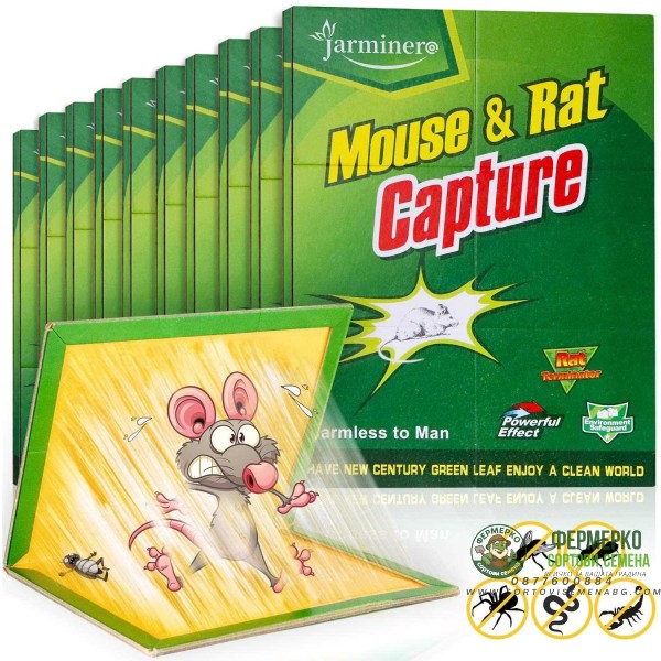 Книжка с лепило - капан за плъхове и мишки