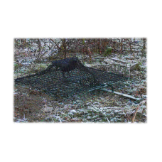 Капан - мрежа за птици