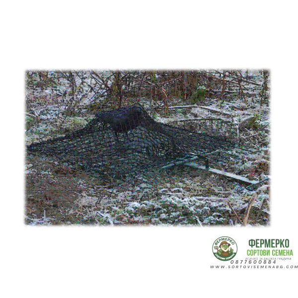 Капан - мрежа за птици