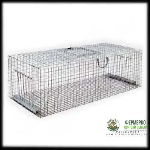 Капан за гълъби и скорци