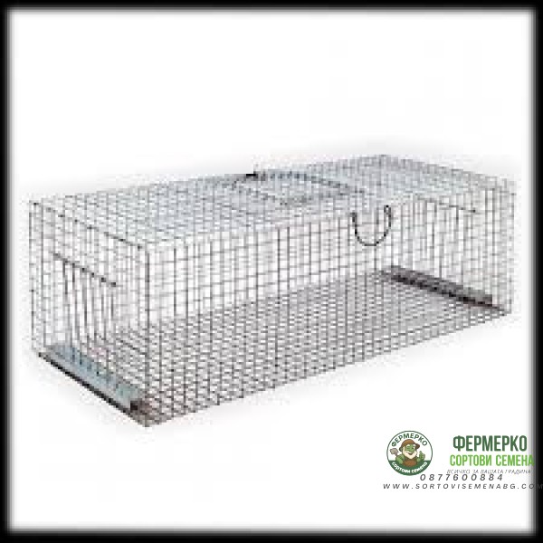 Капан за гълъби и скорци