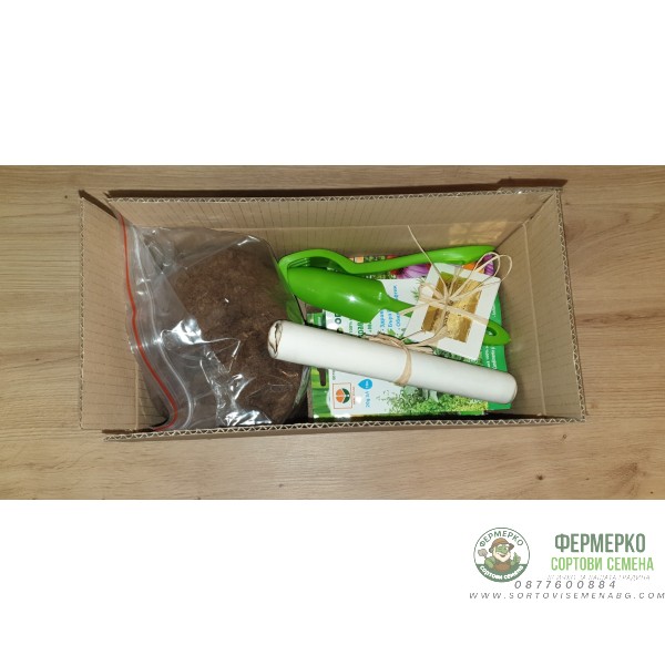 Билков имунитет - подаръчен пакет с игра за всяко любопитно хлапе Билков имунитет - подаръчен пакет с игра за всяко любопитно хлапе