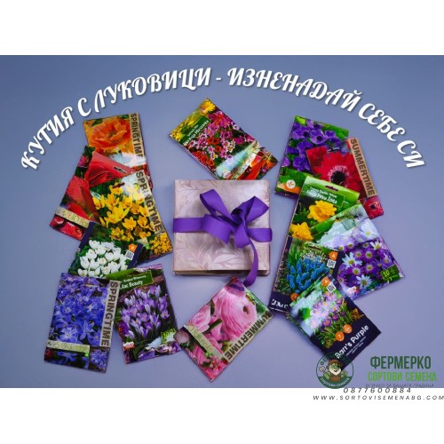 Кутия с Луковици Изненадай себе си (над 50 бр. различни видове луковици)