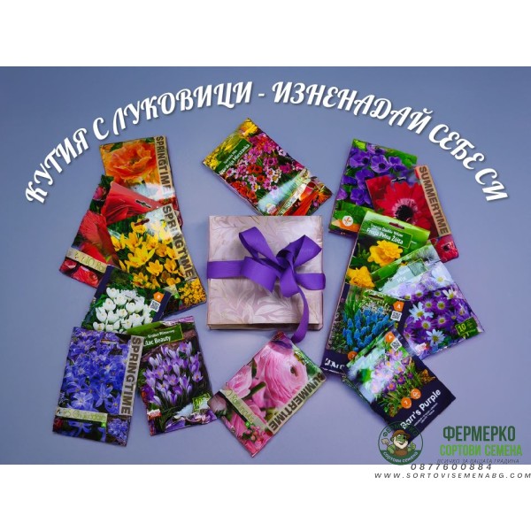 Кутия с Луковици Изненадай себе си (над 50 бр. различни видове луковици)