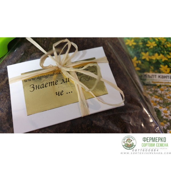 В търсене на кетчупа - подаръчен пакет с игра за всяко любопитно хлапе