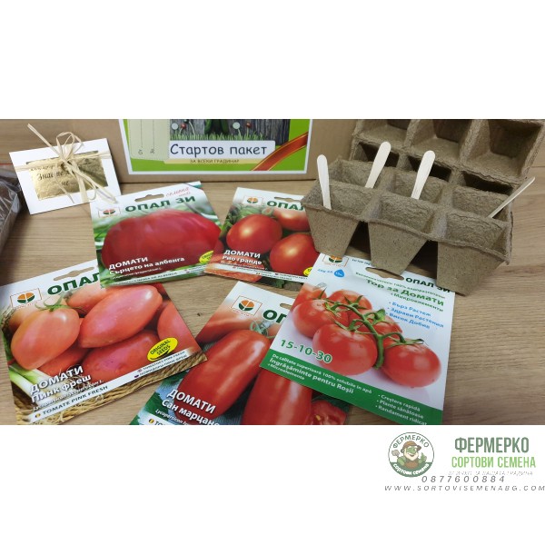 В търсене на кетчупа - подаръчен пакет с игра за всяко любопитно хлапе