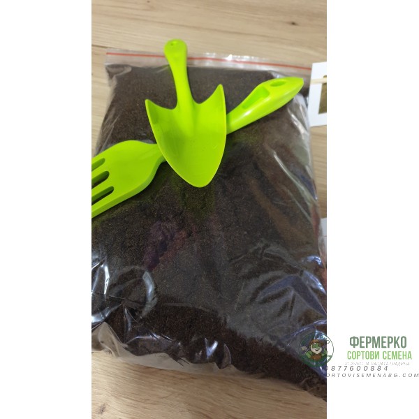 В търсене на кетчупа - подаръчен пакет с игра за всяко любопитно хлапе