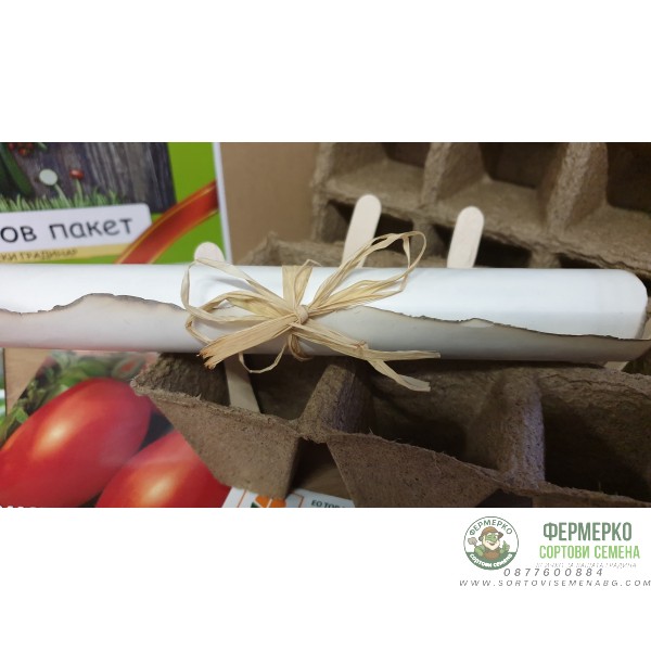 В търсене на кетчупа - подаръчен пакет с игра за всяко любопитно хлапе