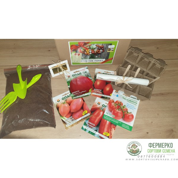 В търсене на кетчупа - подаръчен пакет с игра за всяко любопитно хлапе