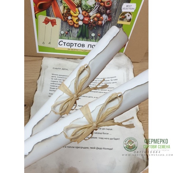 Стартов пакет за всяко любопитно хлапе