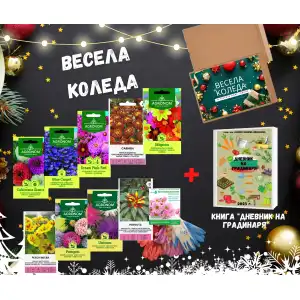 Подаръчен пакет за Коледа (Цветя)