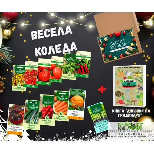 Подаръчен пакет за Коледа