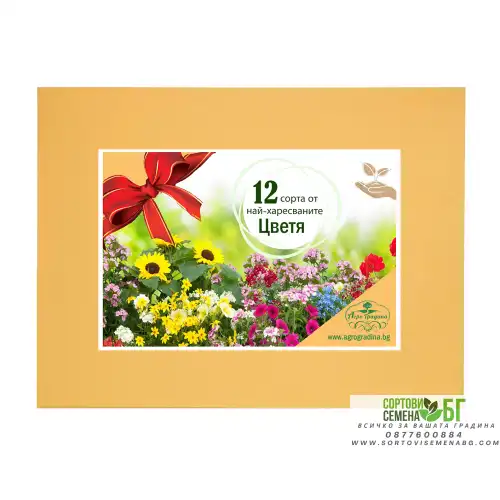Колекция с 12 сорта приказни многогодишни цветя