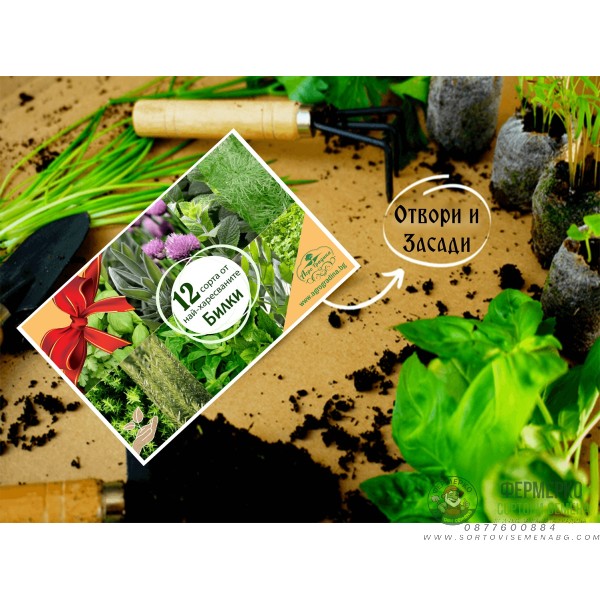 Колекция с 12 сорта от най-популярните ароматни Билки