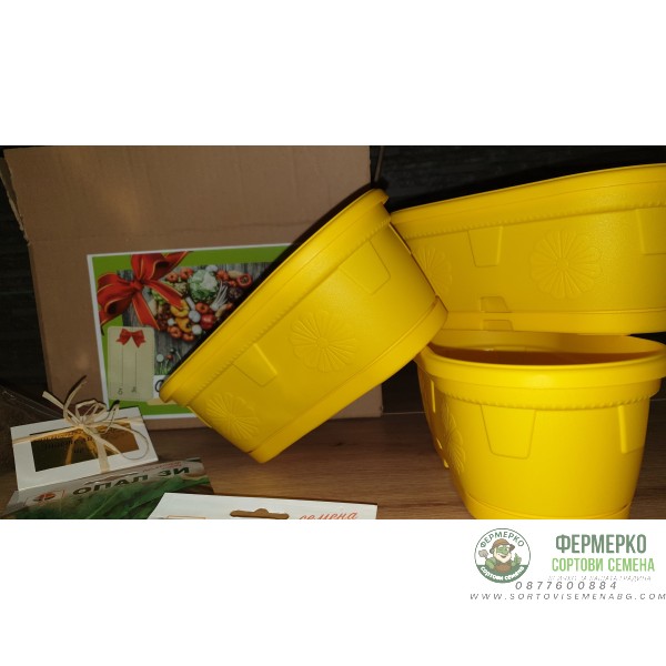 Храната на Попай Моряка - подаръчен пакет с игра за всяко любопитно хлапе