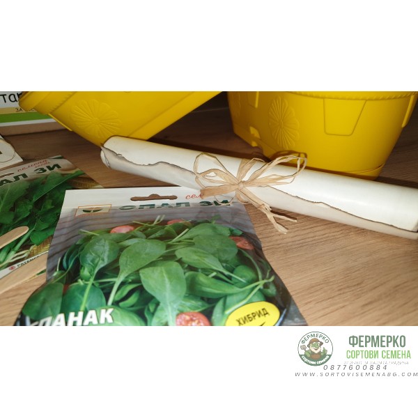 Храната на Попай Моряка - подаръчен пакет с игра за всяко любопитно хлапе