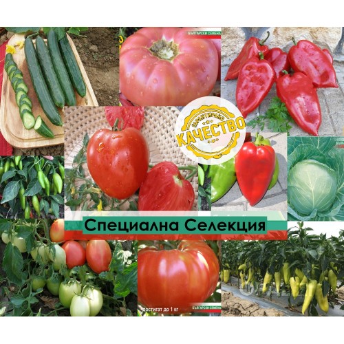 Специална Коледна селекция - от България с любов