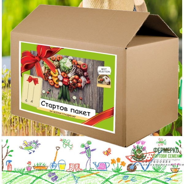 Стартов пакет за всяко любопитно хлапе