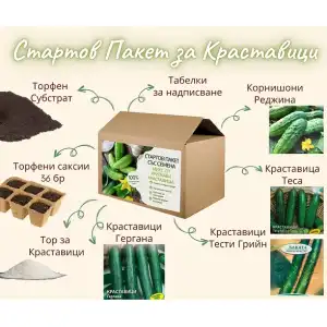 Стартов пакет за ценителите на вкусните Краставици
