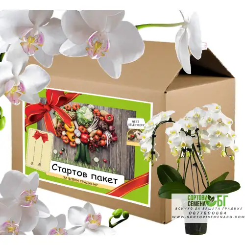 Стартов пакет за моята Любима Орхидея Стартов пакет за моята Любима Орхидея