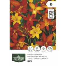 Крокосмия микс - 7 бр луковицa