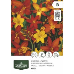 Крокосмия микс - 7 бр луковицa