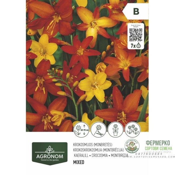 Крокосмия микс - 7 бр луковицa