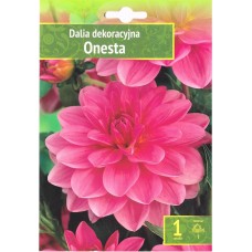 Далия (Гергина) Onesta - 1 бр луковицa