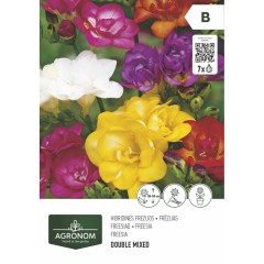 Фрезия Двойна Микс Freesia Double Mixed - 7 бр луковици