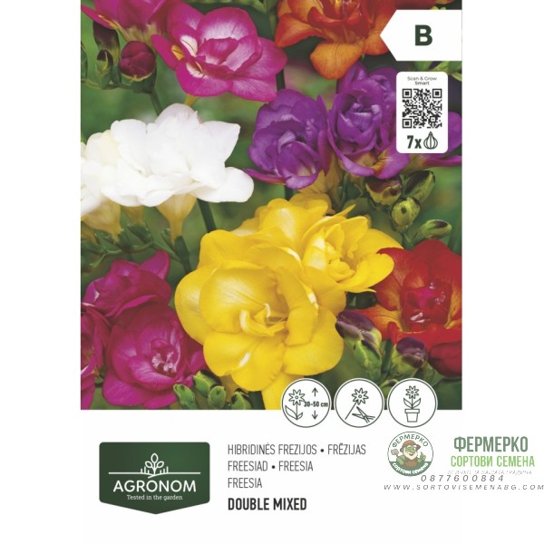 Фрезия Двойна Микс Freesia Double Mixed - 7 бр луковици