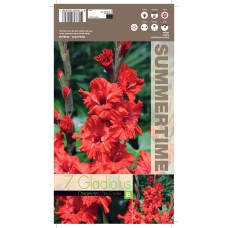 Гладиоли Fire Cracker Gladiolus L - 7 бр луковици