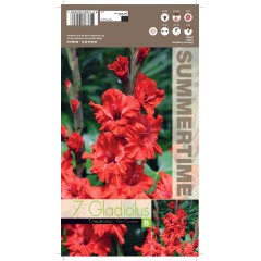 Гладиоли Fire Cracker Gladiolus L - 7 бр луковици