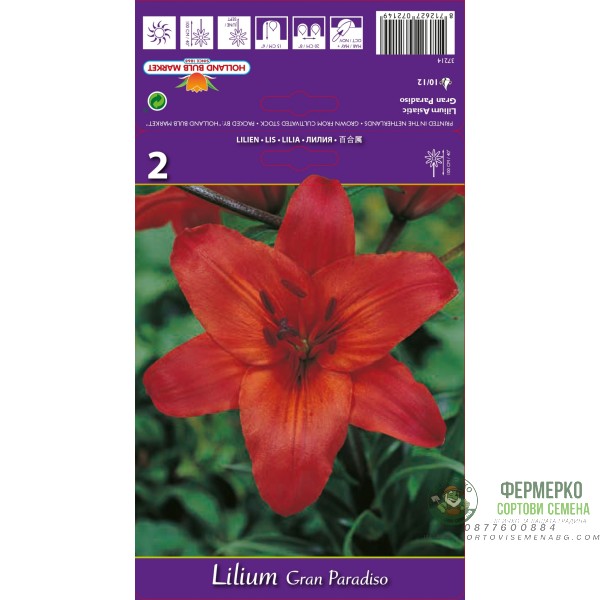 Лилиум Гран Парадизо Lilium Gran Paradiso - 2 бр луковици